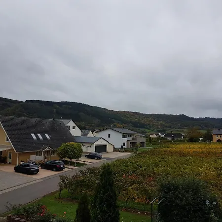 Ferienweinhaus Roemer-Knodt Креф Экстерьер фото