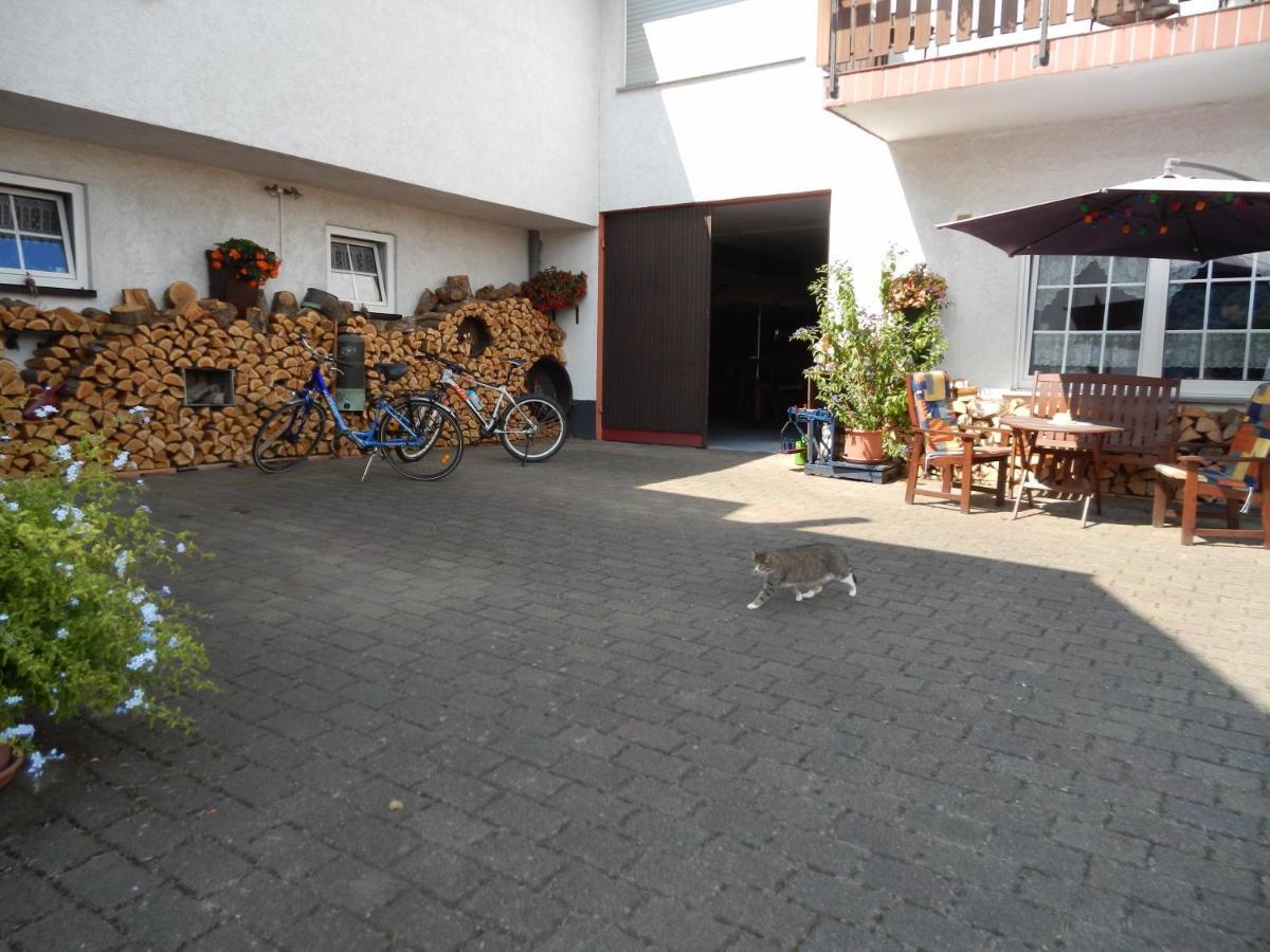 Privat bolig Ferienweinhaus Roemer-knodt