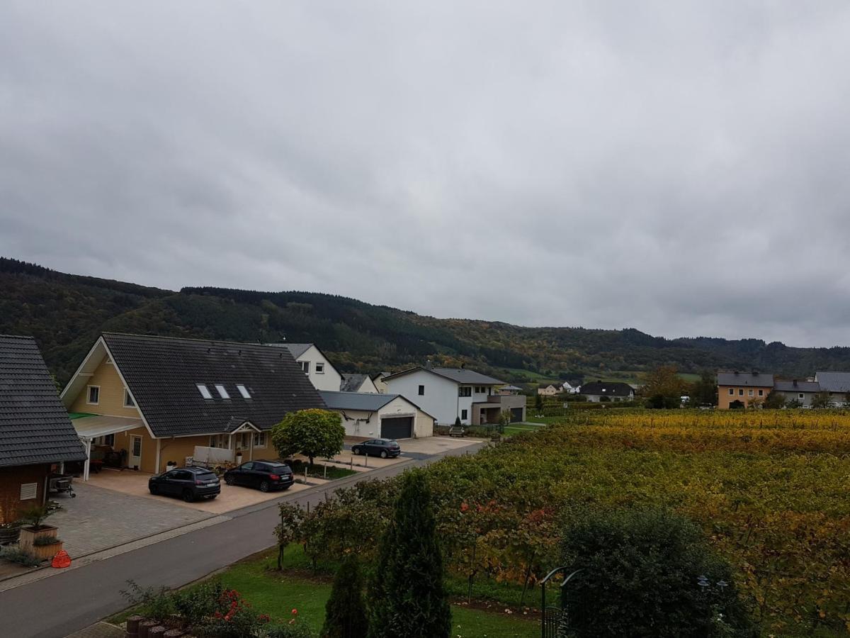 Privat bolig Ferienweinhaus Roemer-knodt *