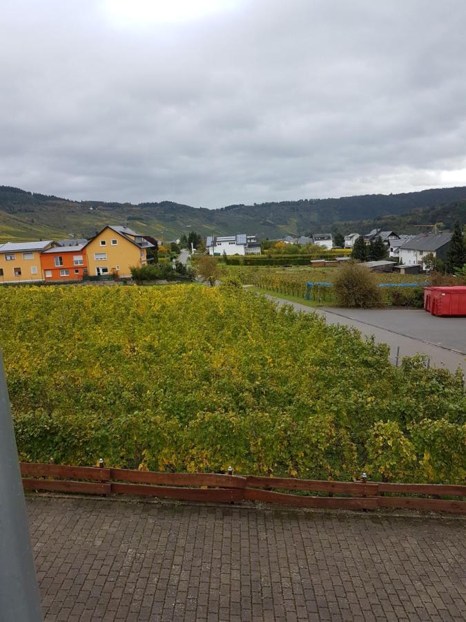 Privat bolig Ferienweinhaus Roemer-knodt Kröv